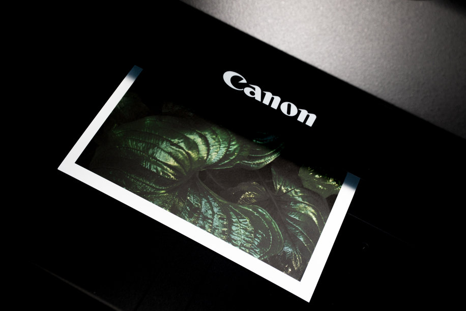Close-up of a fine art giclée print surface